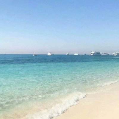 美国前中情局局长:比起特朗普我更信伊朗